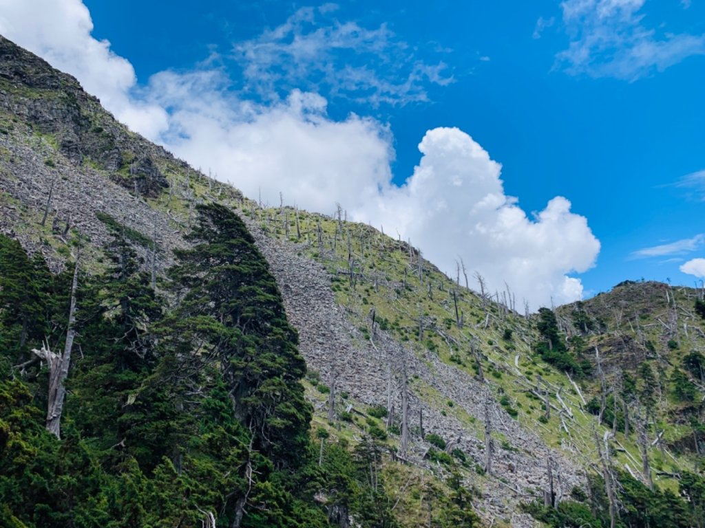 逆走雪山西稜下志佳陽_1041289