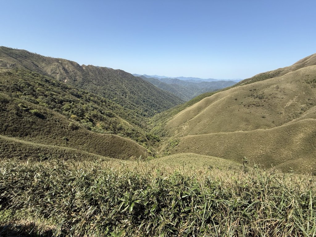 2025/03/21 聖母山莊 抹茶山 三角崙山_2935112