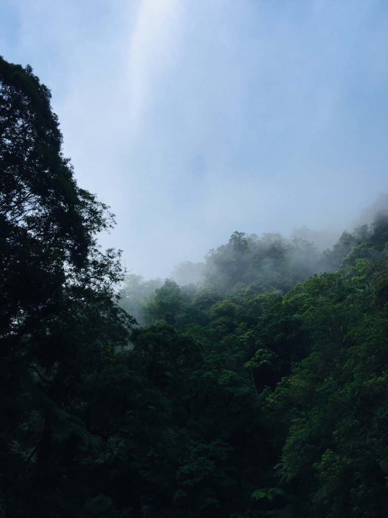 哈盆野營_1024923