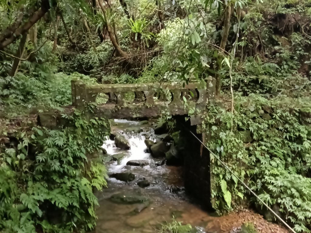 坪林區九芎坑古道+九芎坑圳沽古道+大舌湖山大小O型封面圖
