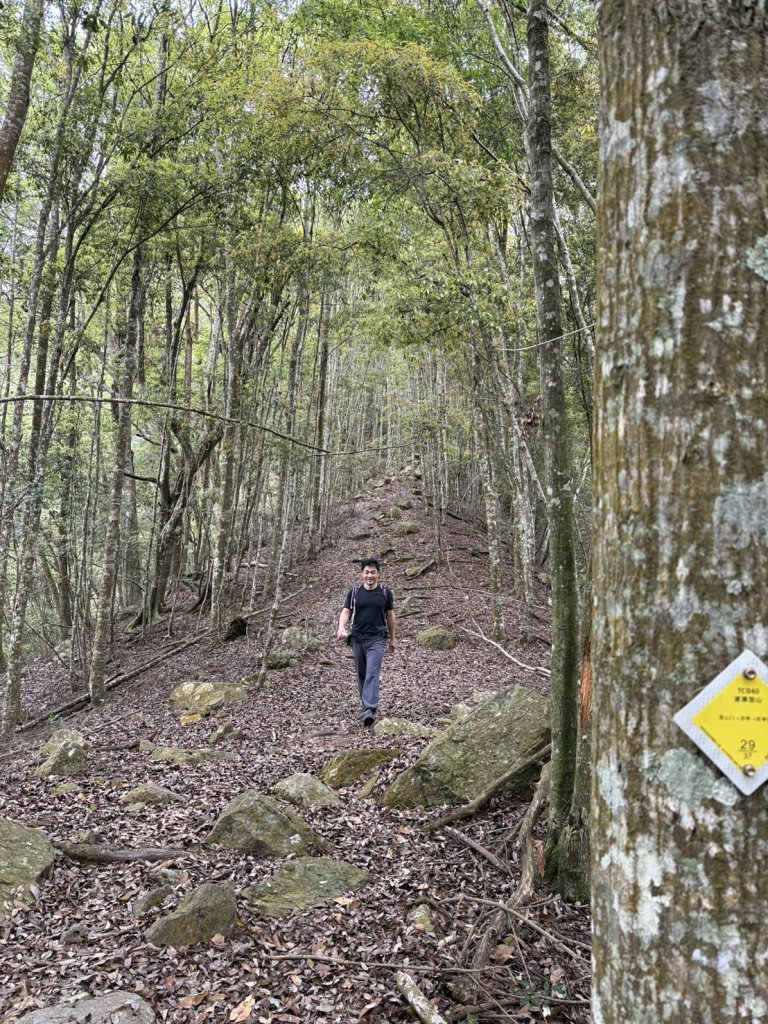台中 和平 波津加山_2761876