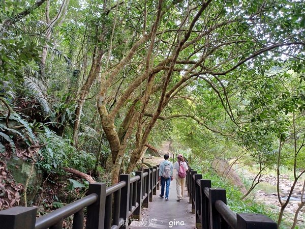 【苗栗南庄】沿途潺潺溪水聲。 蓬萊溪護魚步道_2688907