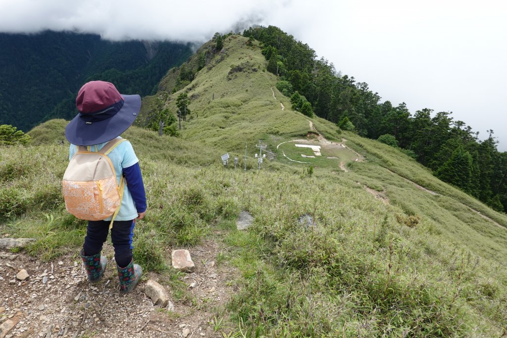 阿興阿賢雪山主峰東峰_626441