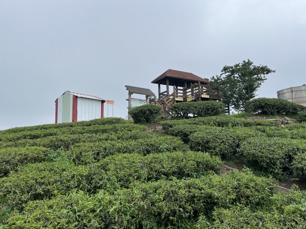 2023_0429_挑筍古道_2138216