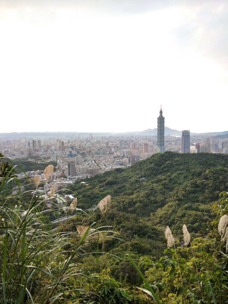南港山縱走親山步道(拇指山、南港山、象山、九五峰)_1820229
