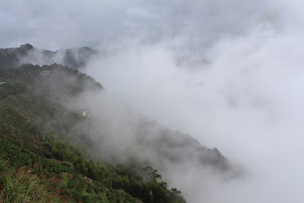 20201024南投龍鳳山O型縱走_1145107