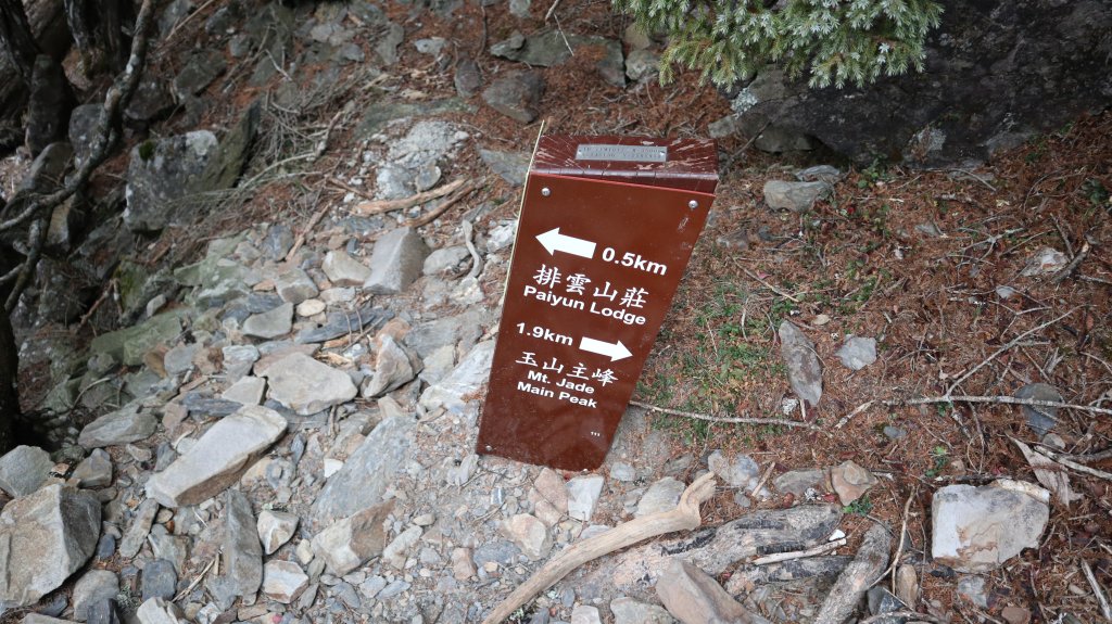 玉山主峰登山健行趣(百岳01號)_2041520