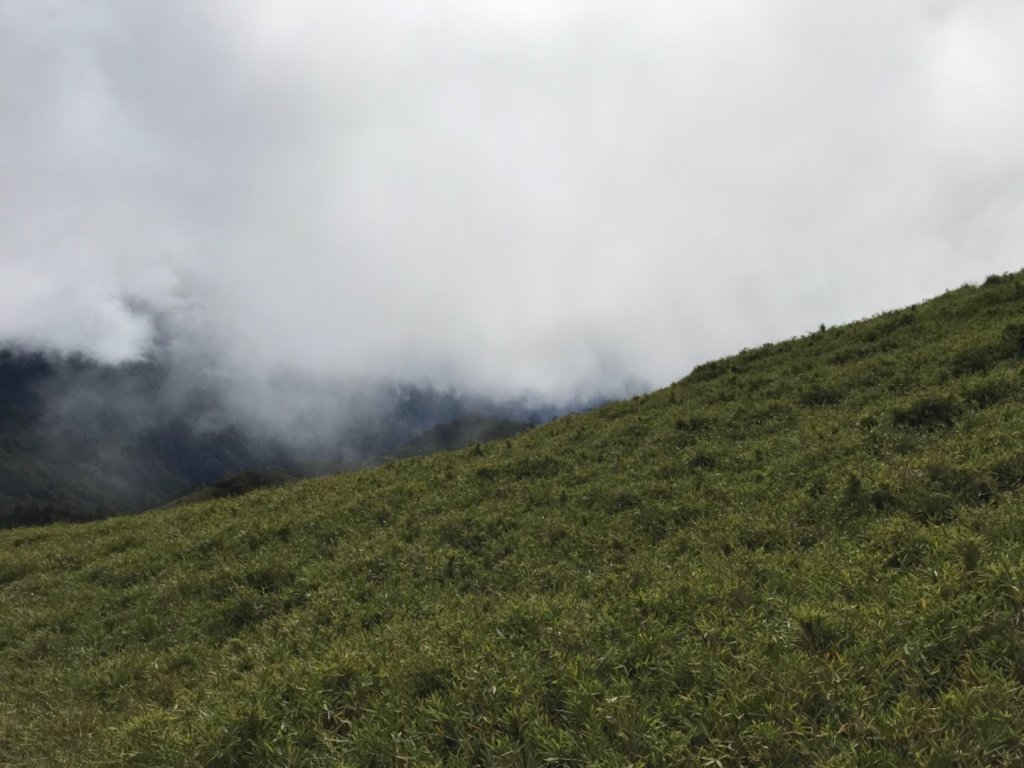 奇萊南華光被八表單攻_692106