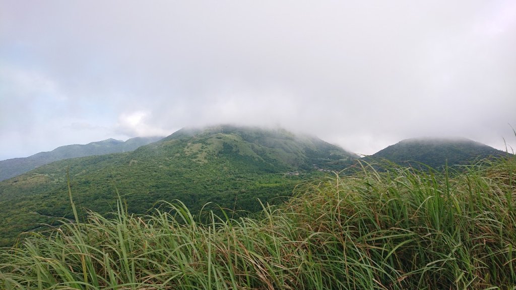 20240519_一群人的陽明山東西大縱走_2508748