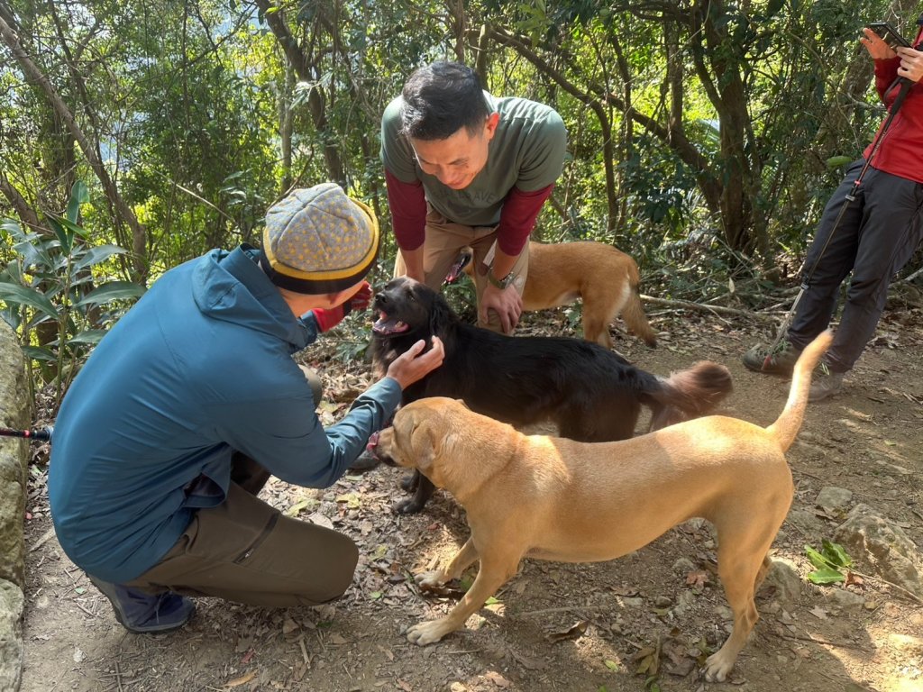 金童山.汶水山.玉女山【冬天的郊山縱走=高山等級的享受】_2680915