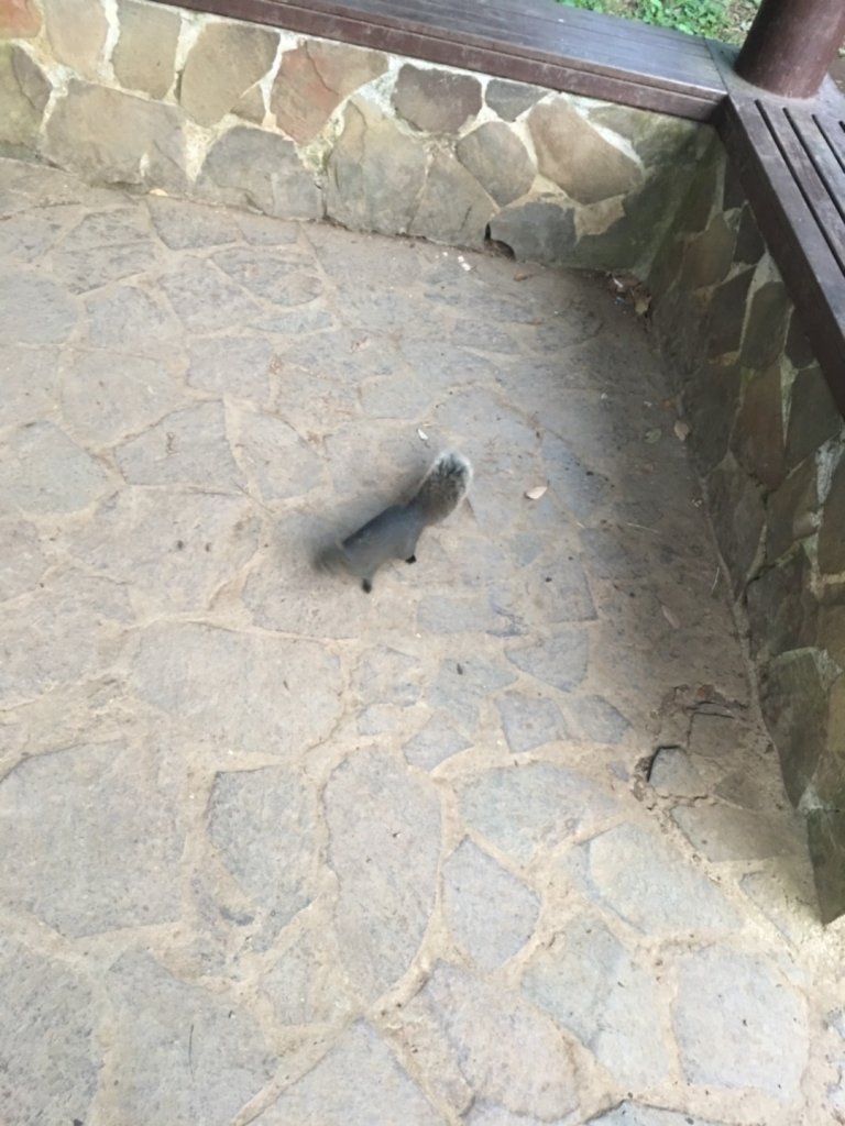 20200202_大屯山群峰_821942