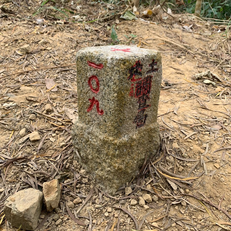 20260117台南阿拉溪斜瀑群縱走糖子恩山-水山頂山_2985076