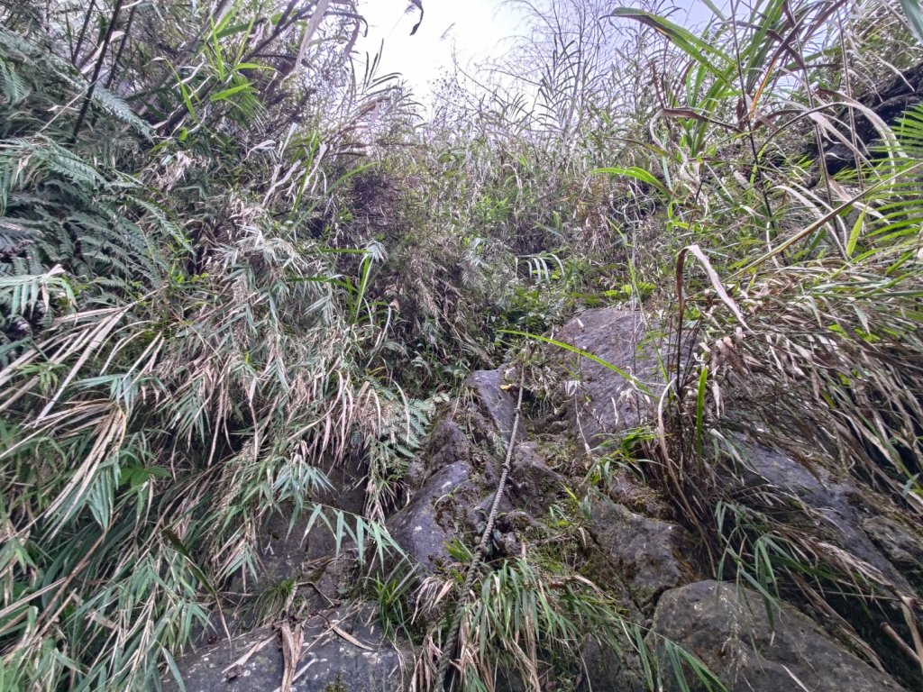 獅子頭山_2440449