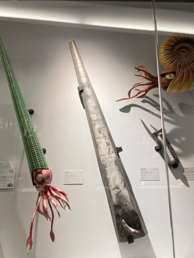 雨天備案💙 台灣博物館的古生代館-台大動植物館免費參觀-北投♨️季_2798999