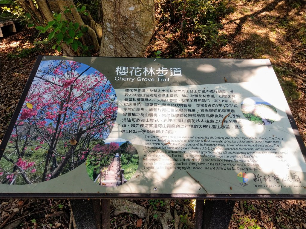 大棟山(小百岳#15)【樹林進、鶯歌出】_969932