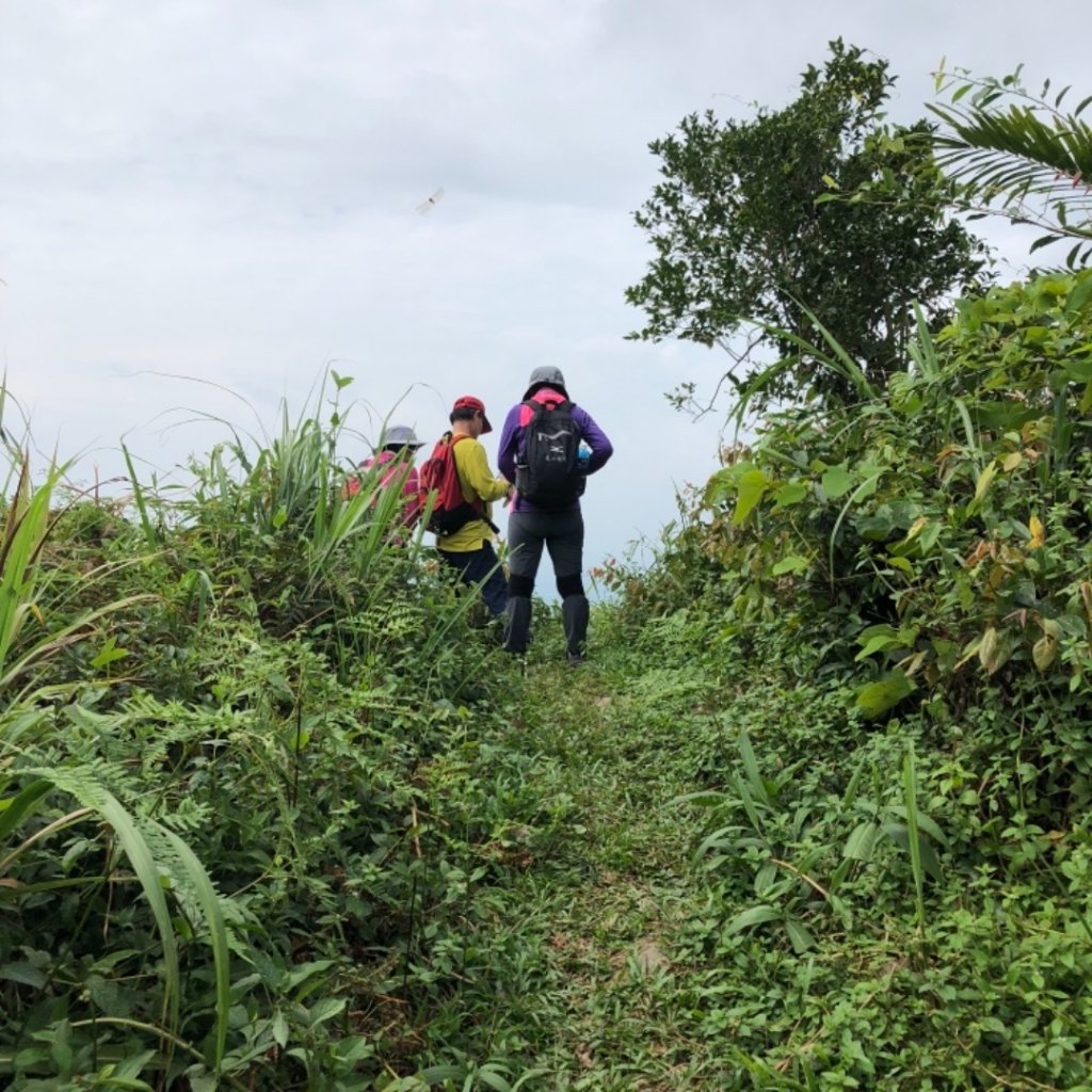 白賓山&真笠東北峰_689344
