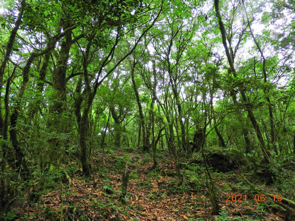 宜蘭 南澳 安平坑林道 - 蘭崁山_1417338