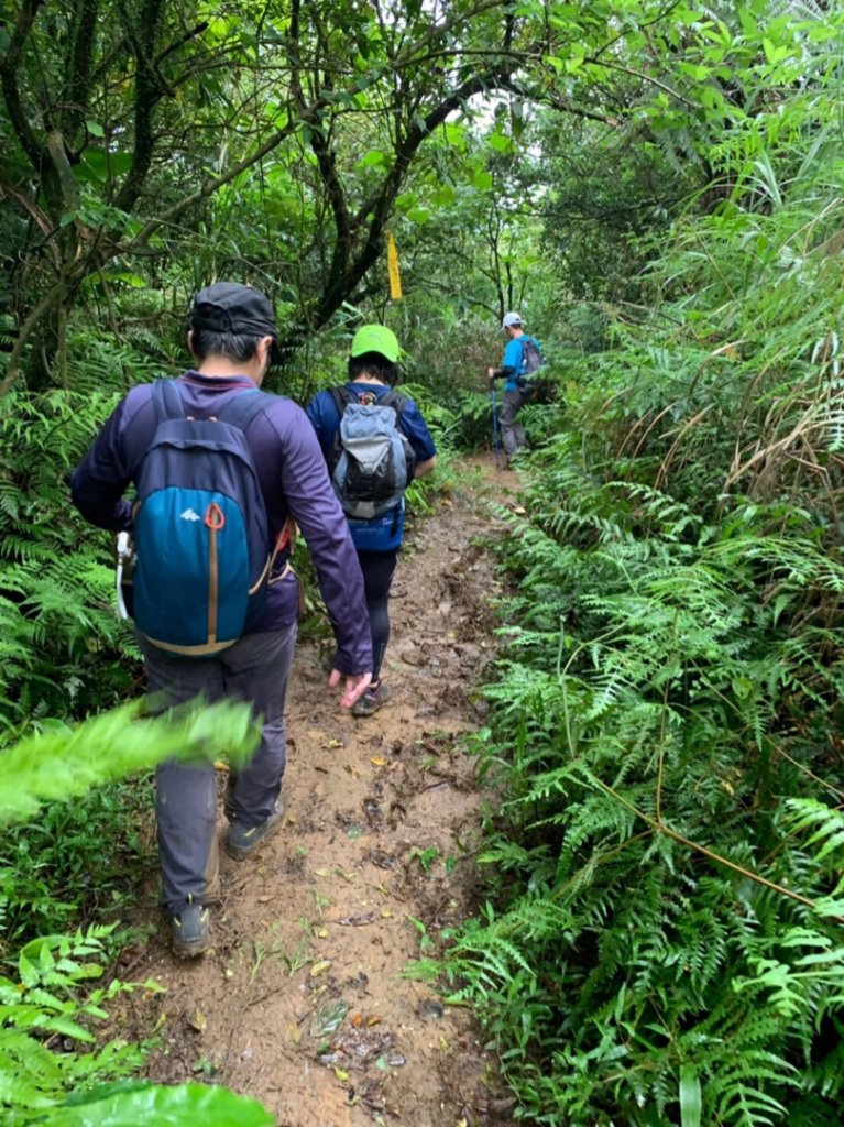 淡蘭北路楊廷理玩泥巴（瑞芳-雙溪）_587444