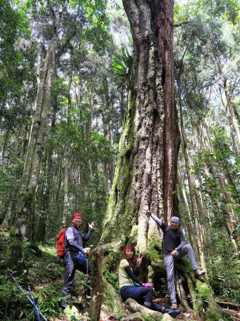 谷關七雄 - 八仙山_691720