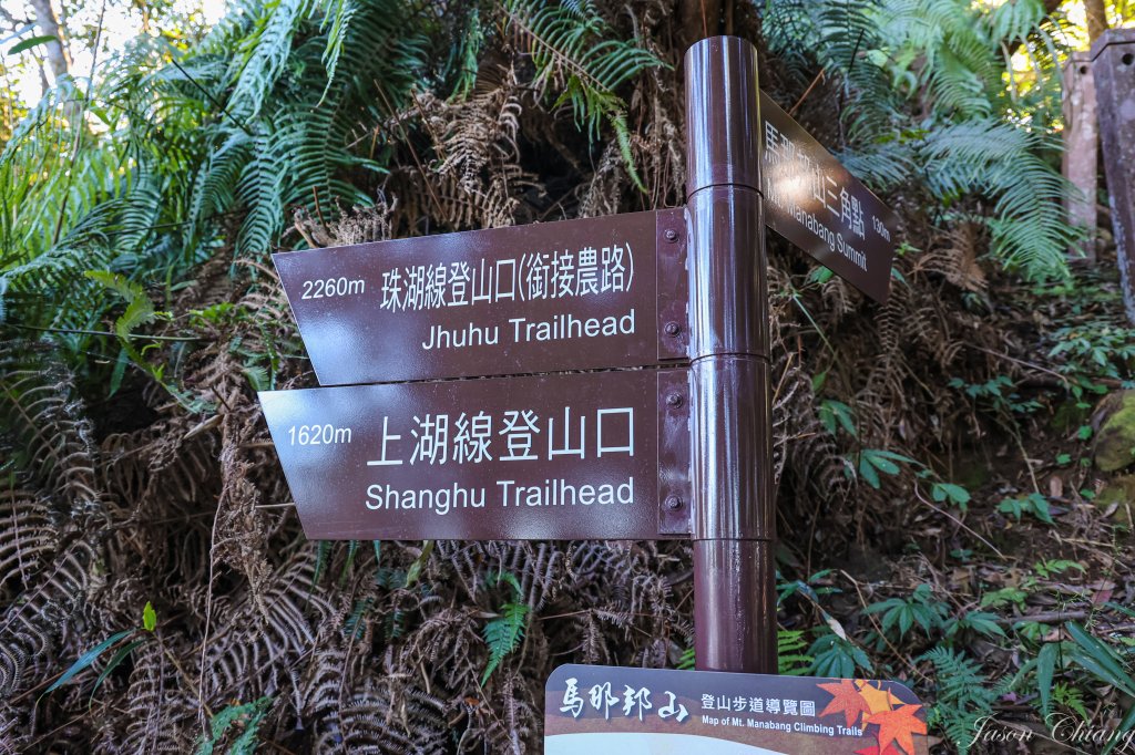 [苗栗]馬那邦山_2355140