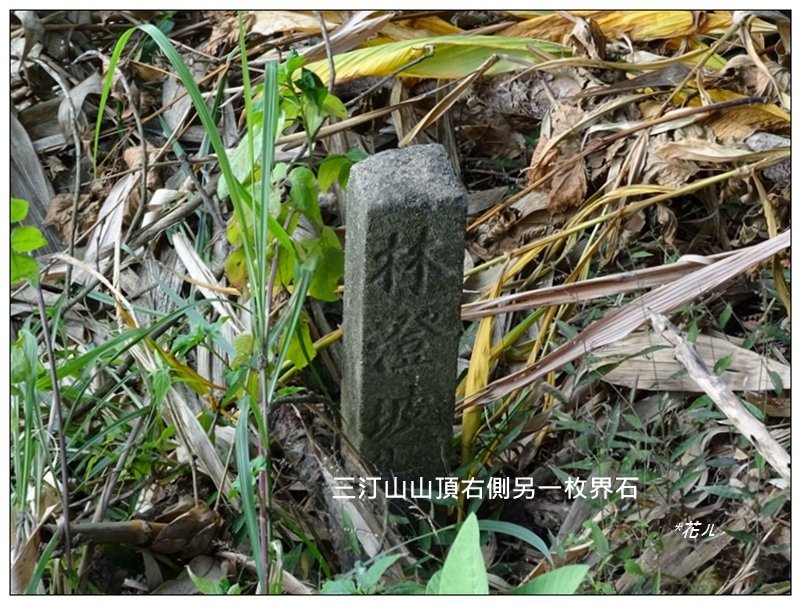 慈光步道、老鼠崎步道、觀雲嶺、三汀山連走_2032384
