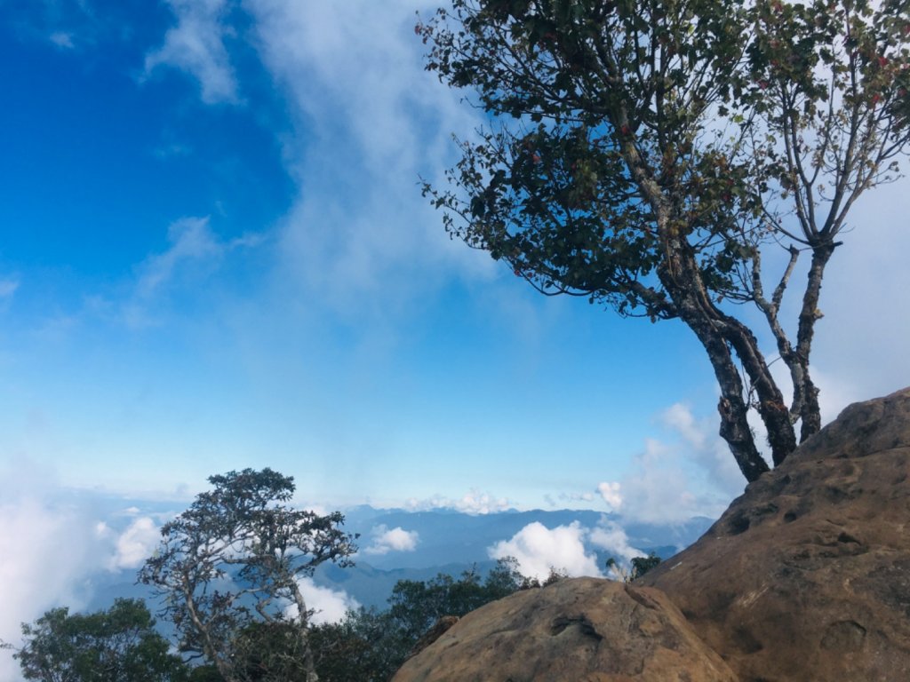 哈加O型走收穫滿滿🈵️_1924234