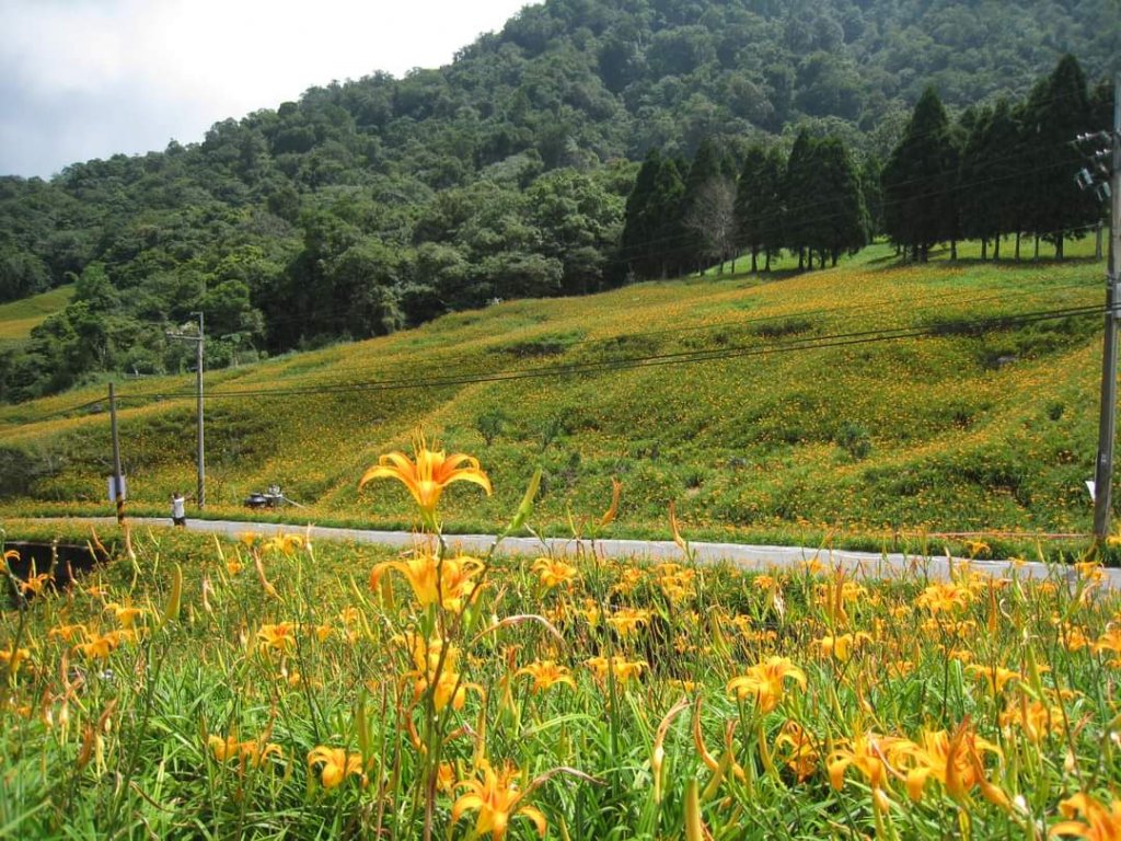 小百岳NO.92 花蓮萬人山。赤科山 六十石山，玉里神社遺址，奇萊鼻燈塔步道封面圖