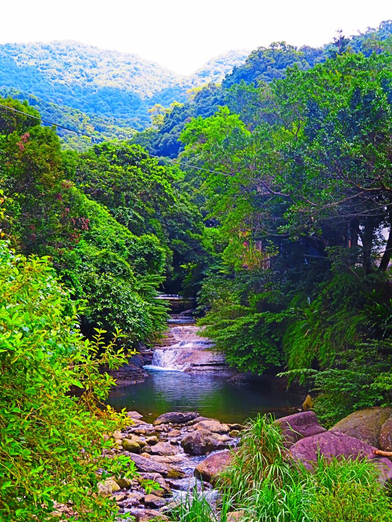 夏日水圳古道之旅：走坪頂古圳步道消暑去_637425