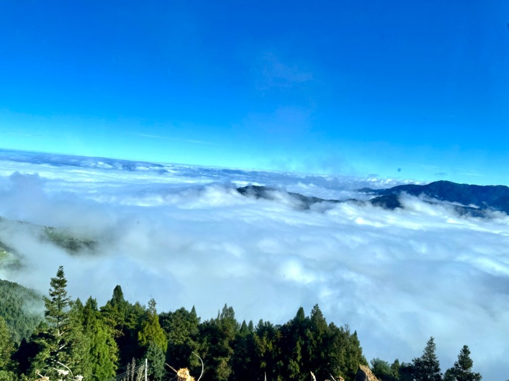觀霧-榛山步道_2925995