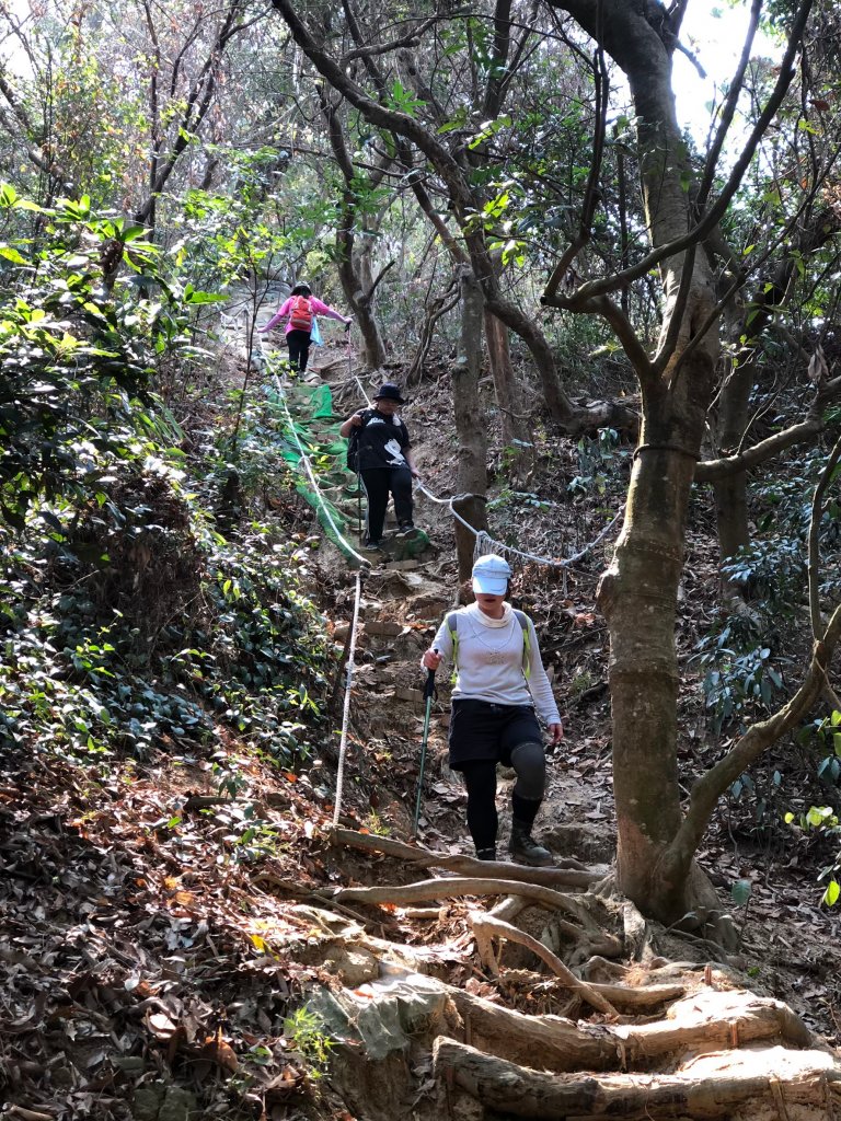 2021.04.03觀音山步道_1497210