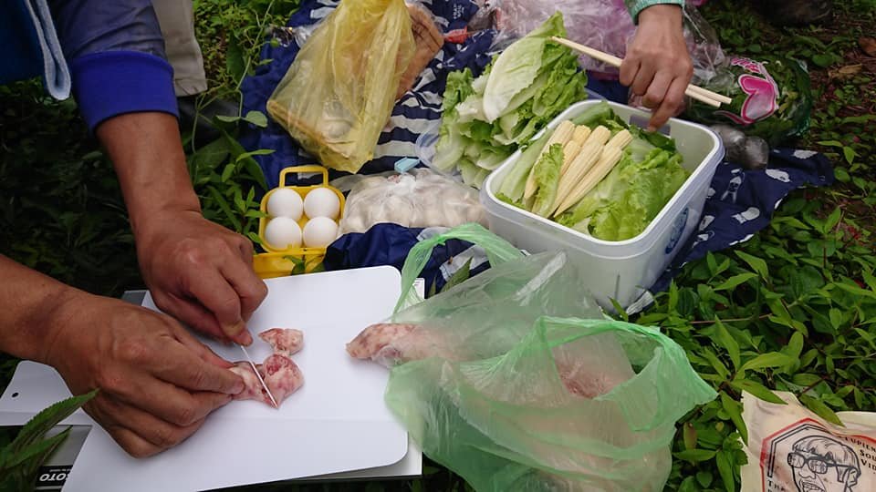 五指山之龜_915843