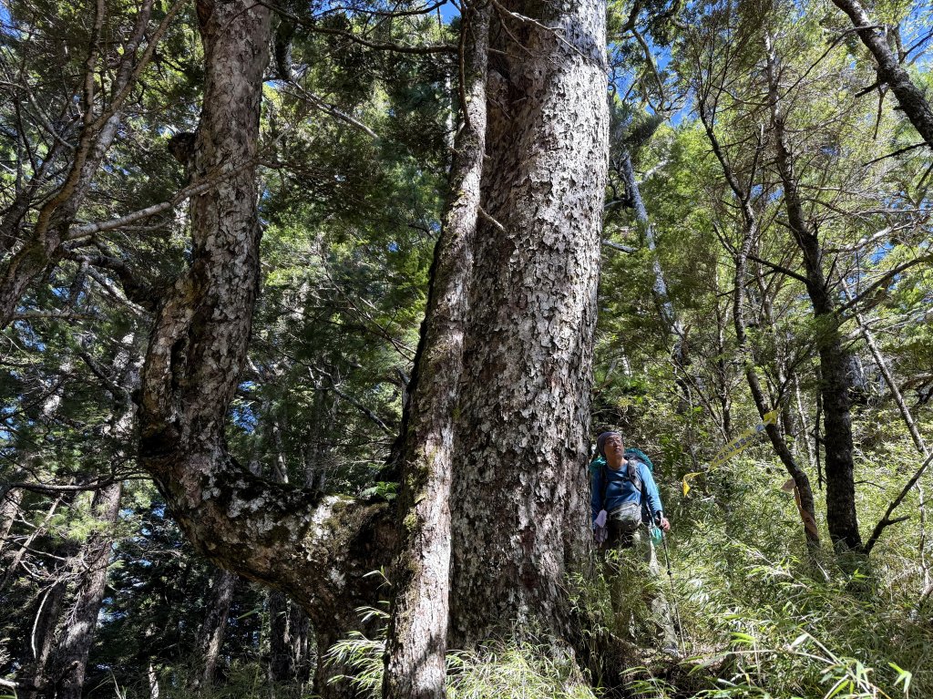 觀雲山莊經小完美谷上畢祿山O繞_2917259