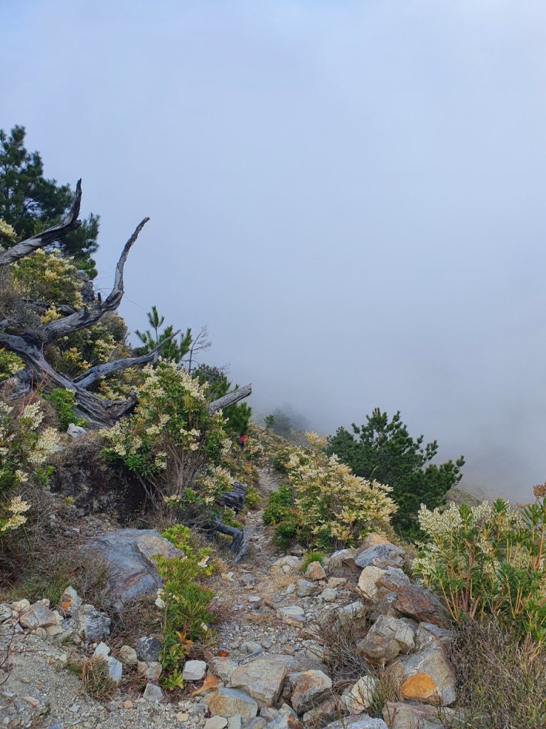 玉山八通關之最_1318241