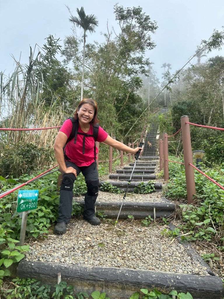 阿拔泉山、觀音石山、紅南坑山、獨立山_2650789