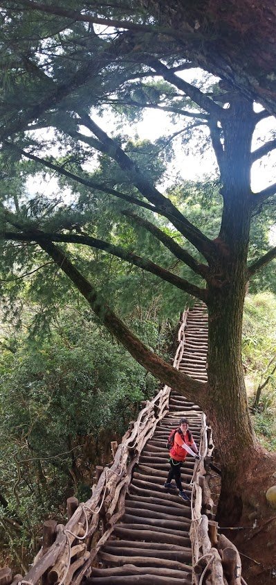 109.09.18 台中 頭嵙山_1107392