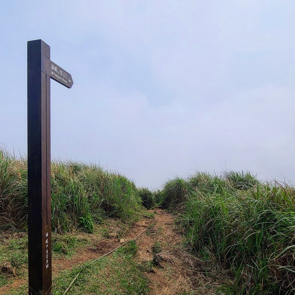 陽明山國家公園-磺嘴山、翠翠谷生態保護區封面圖