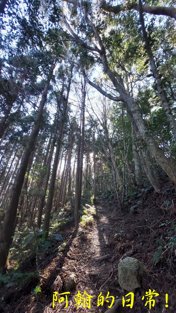 高島縱走_2686863