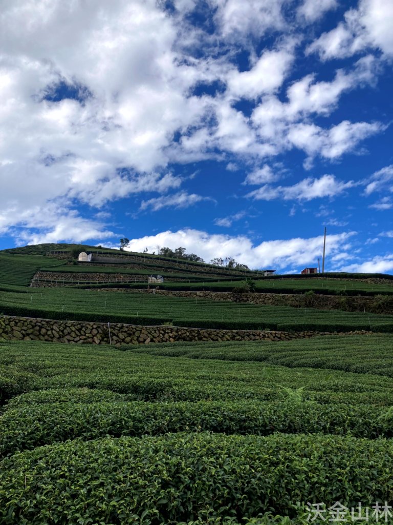 2024-11-24 二延平隙頂山_2662599