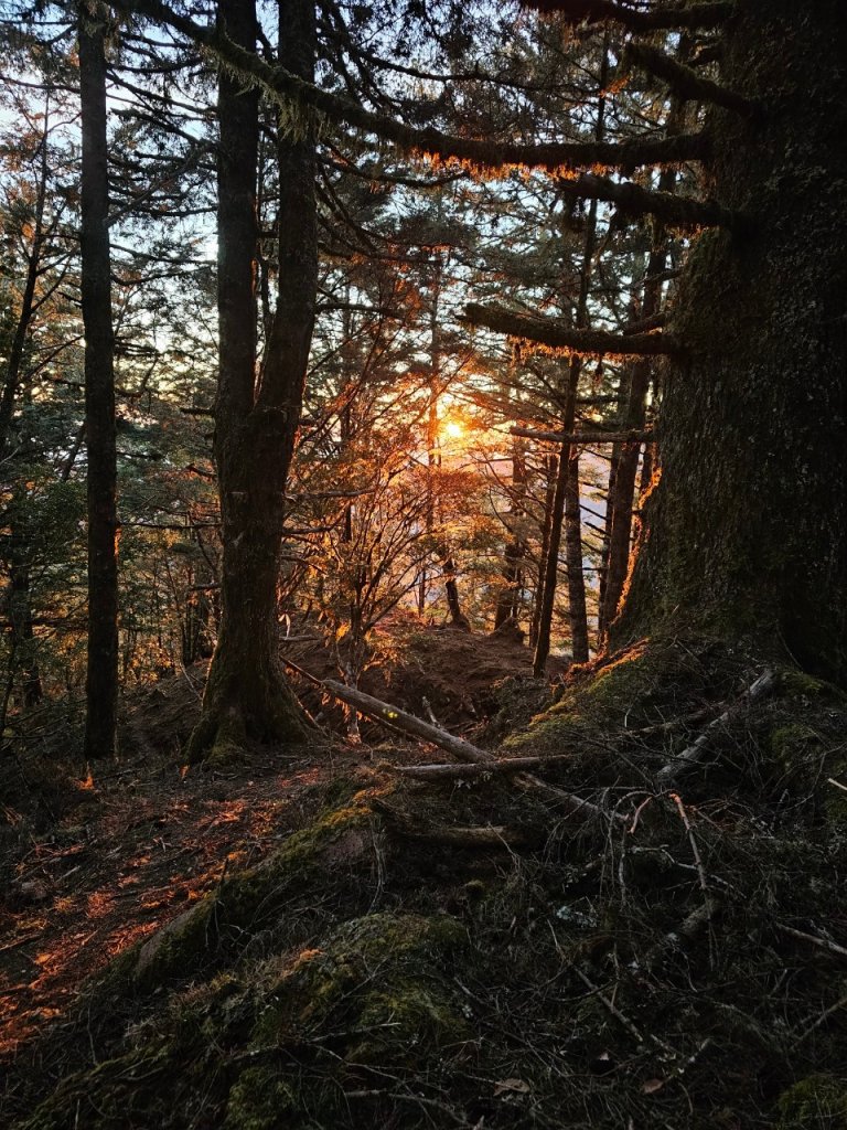 2024.02.13-16 新康橫斷_2438858