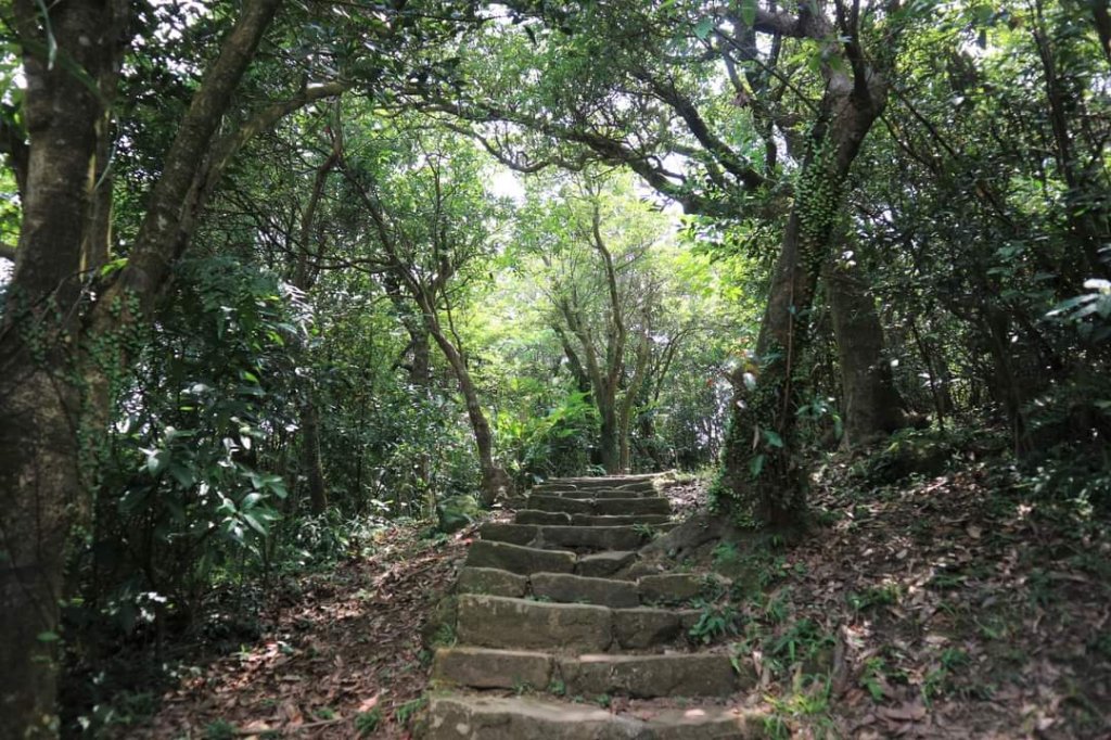 小百岳NO12  汐止大尖山 縱走海拔641公尺 四分子尾山_2229016