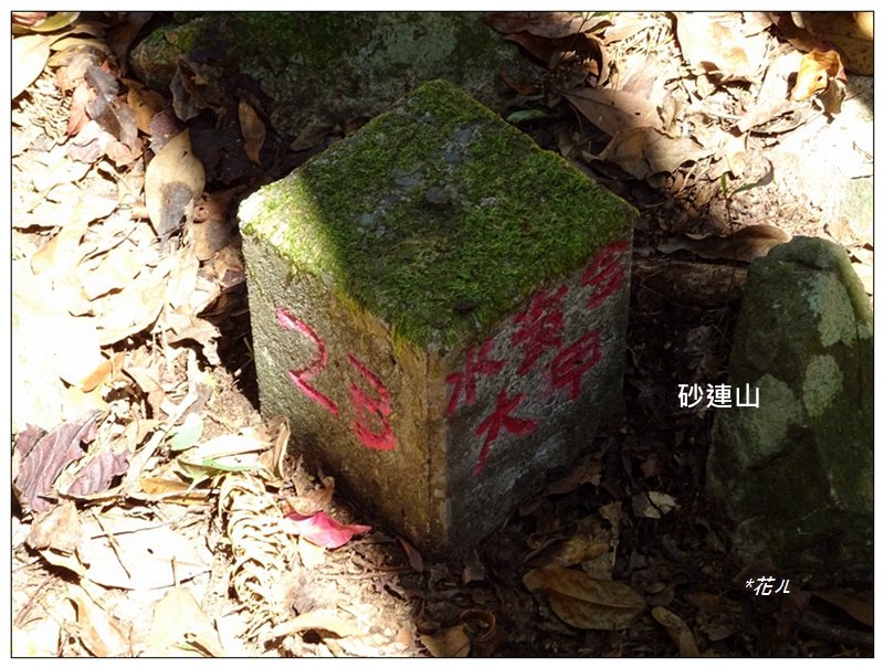 沙蓮山西南峰、砂連山連走(台中/和平)_1664214