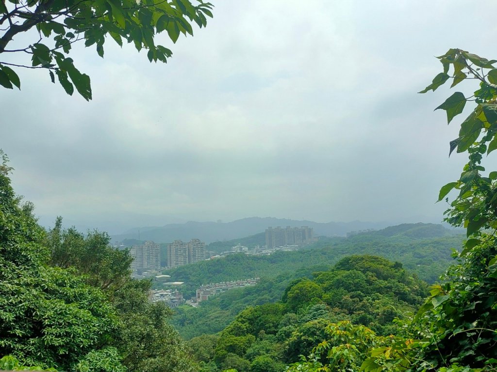 （小百岳）槓子寮山+龍崗步道+槓子寮砲台（2023/6/3）_2239553