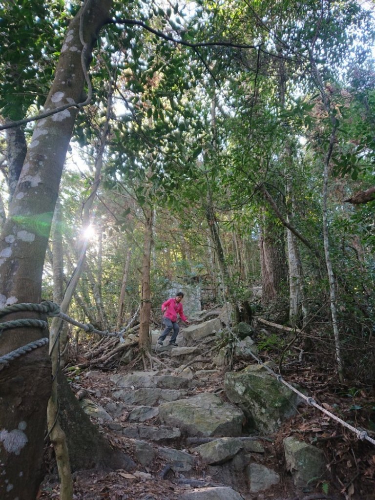 谷關七雄之七～唐麻丹山_1283321