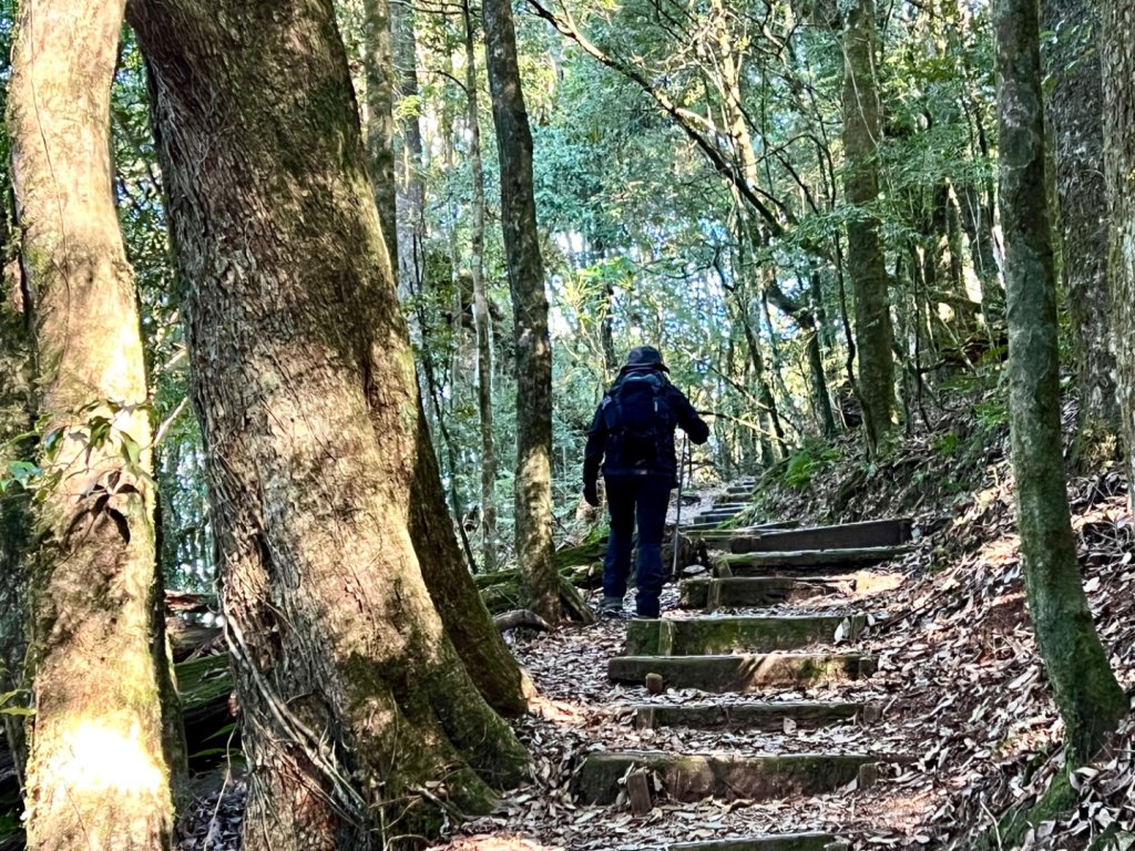 船型山環走大雪山210林道_2978023