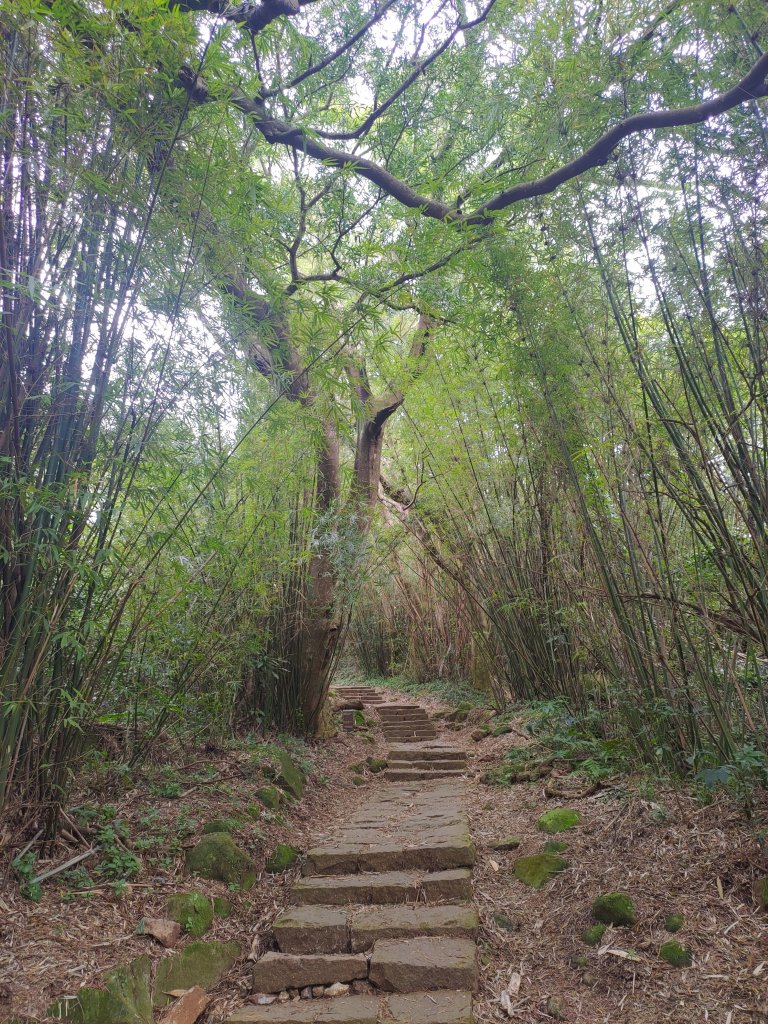 台北大縱走第一段-關渡→二子坪_2007697
