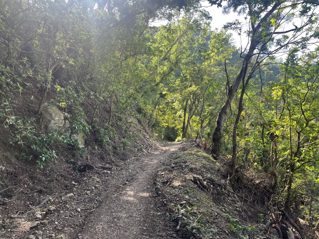 [屏步青雲 尋寶任務-02/10] 2024_0916 尾寮山登山步道_2597296