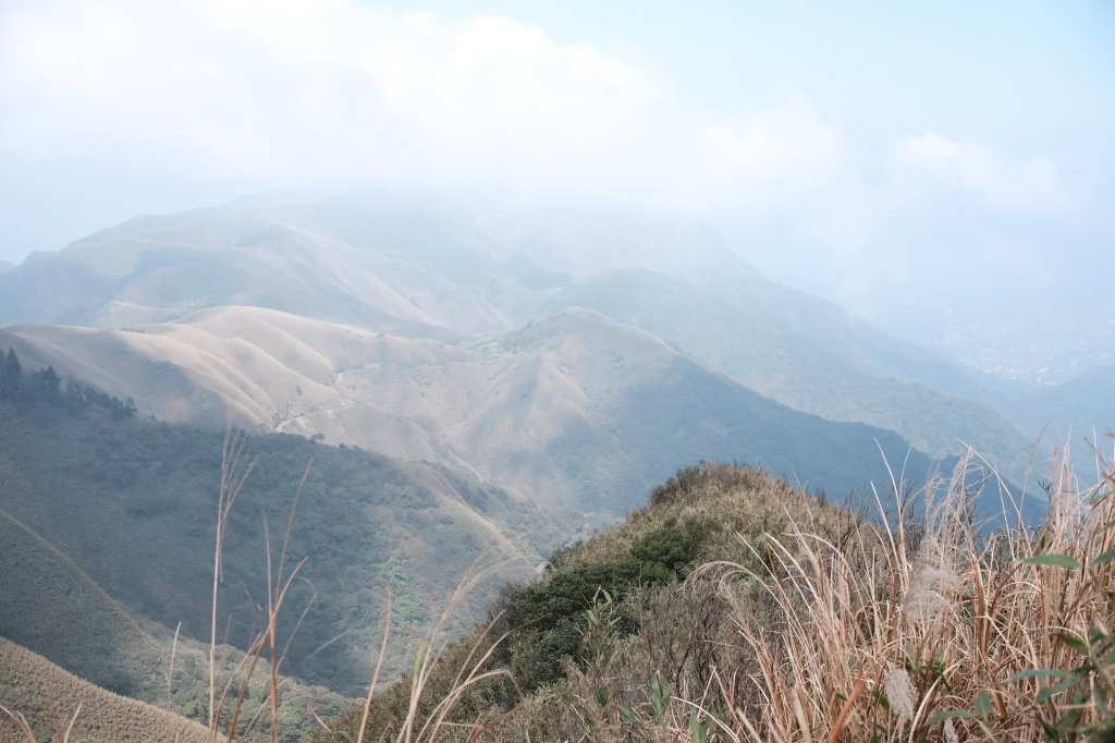 20250228小觀音山小小y_2755476