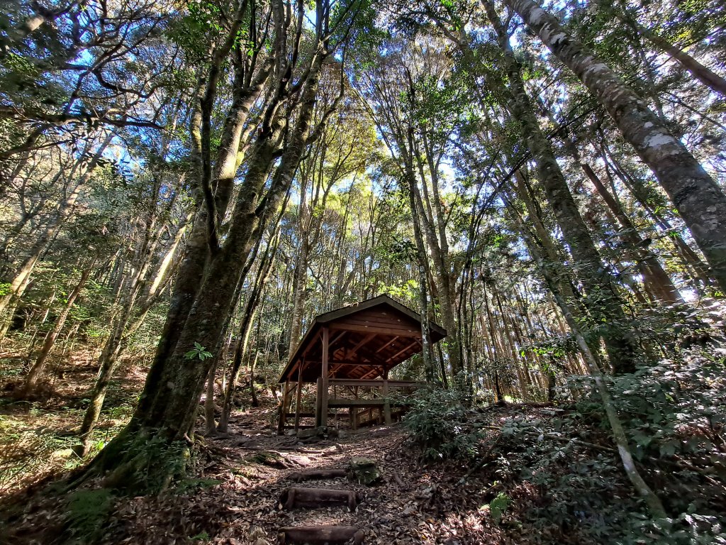 馬崙山(斯可巴步道O繞)封面圖