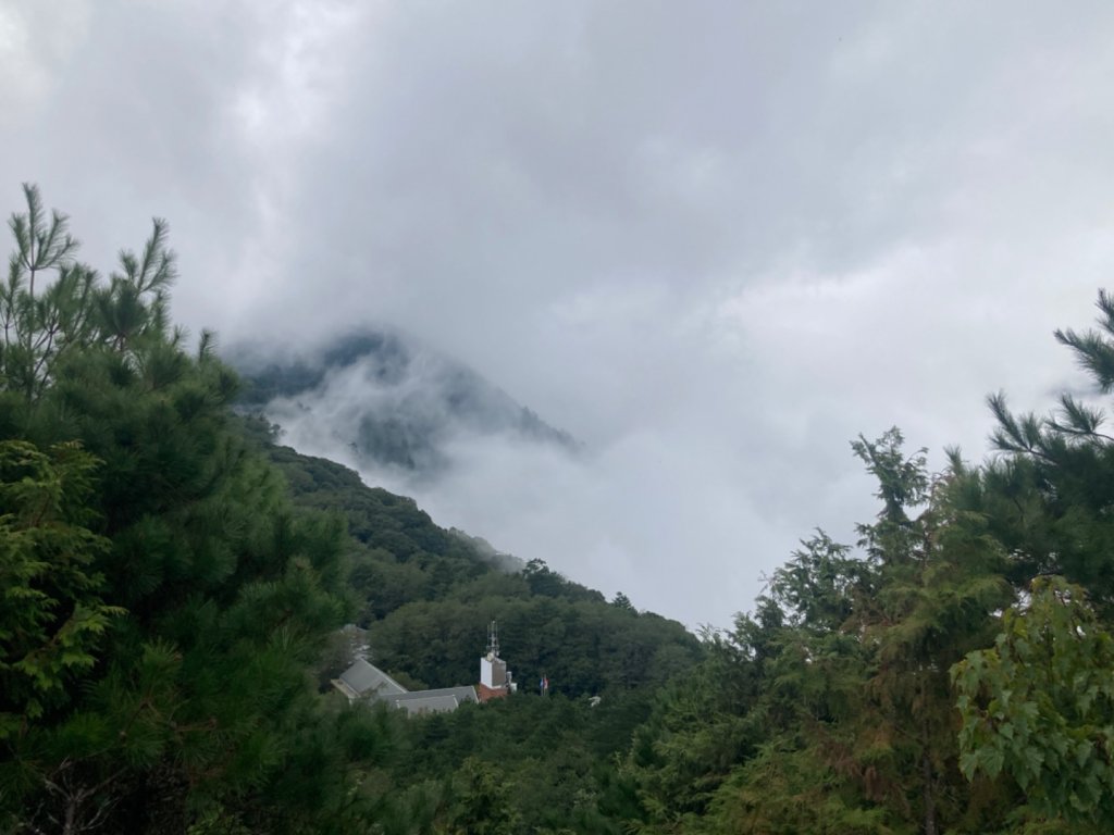 雲霧步道_2316067