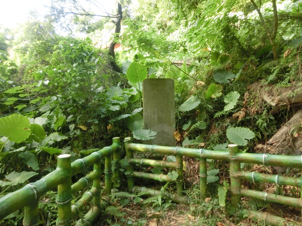 大溪訪古．花彩節_733337